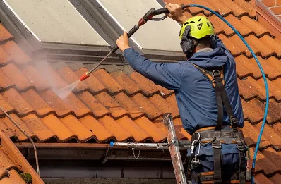 Démoussage et hydrofuge de toiture à Scientrier
